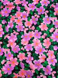 1 YD Cotton Knit Vintage - Pink and Purple Flowers on Black with Green Leaves