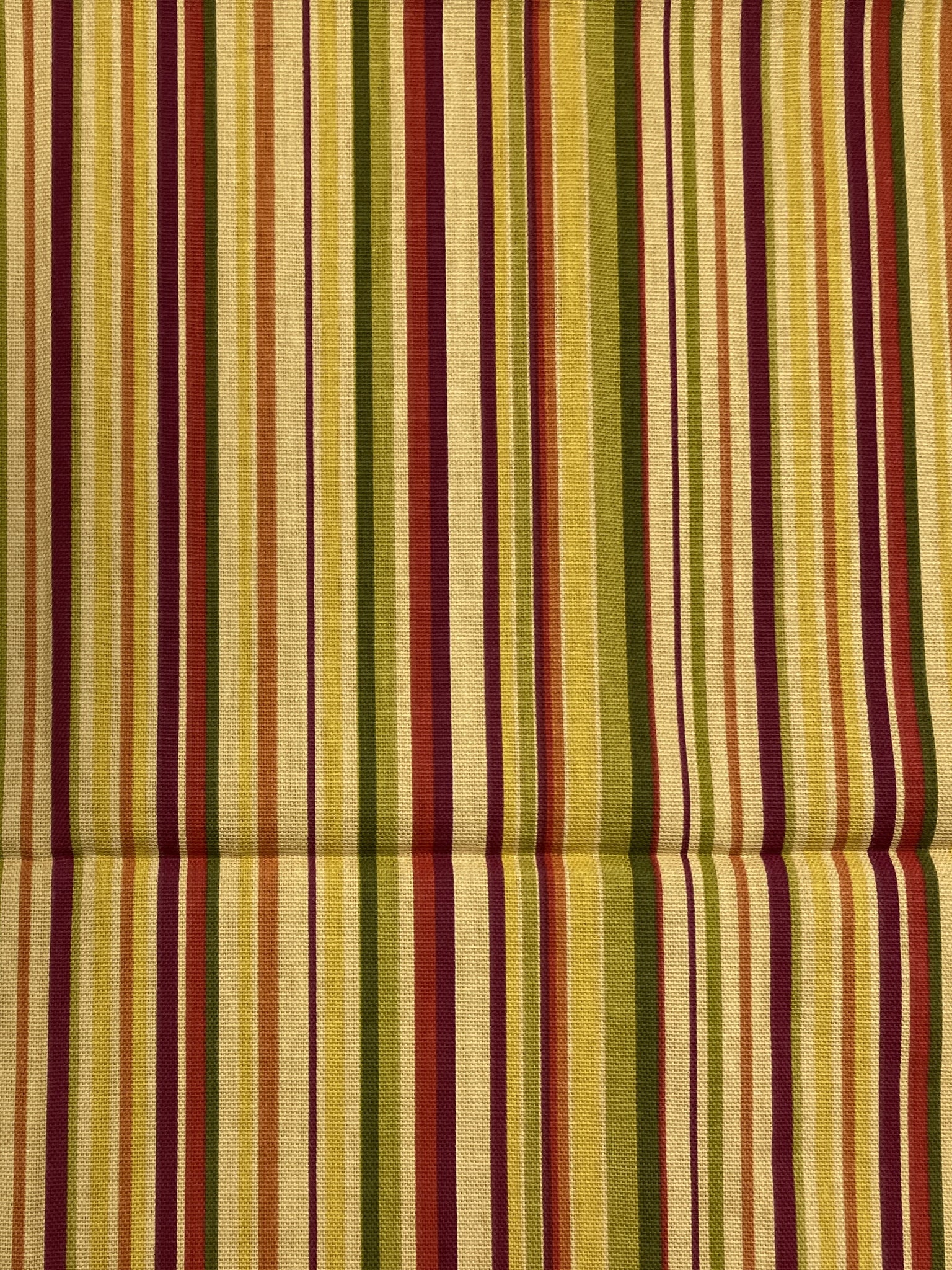 1 YD Cotton Duck Printed Stripes - Warm Tones