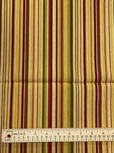 1 YD Cotton Duck Printed Stripes - Warm Tones