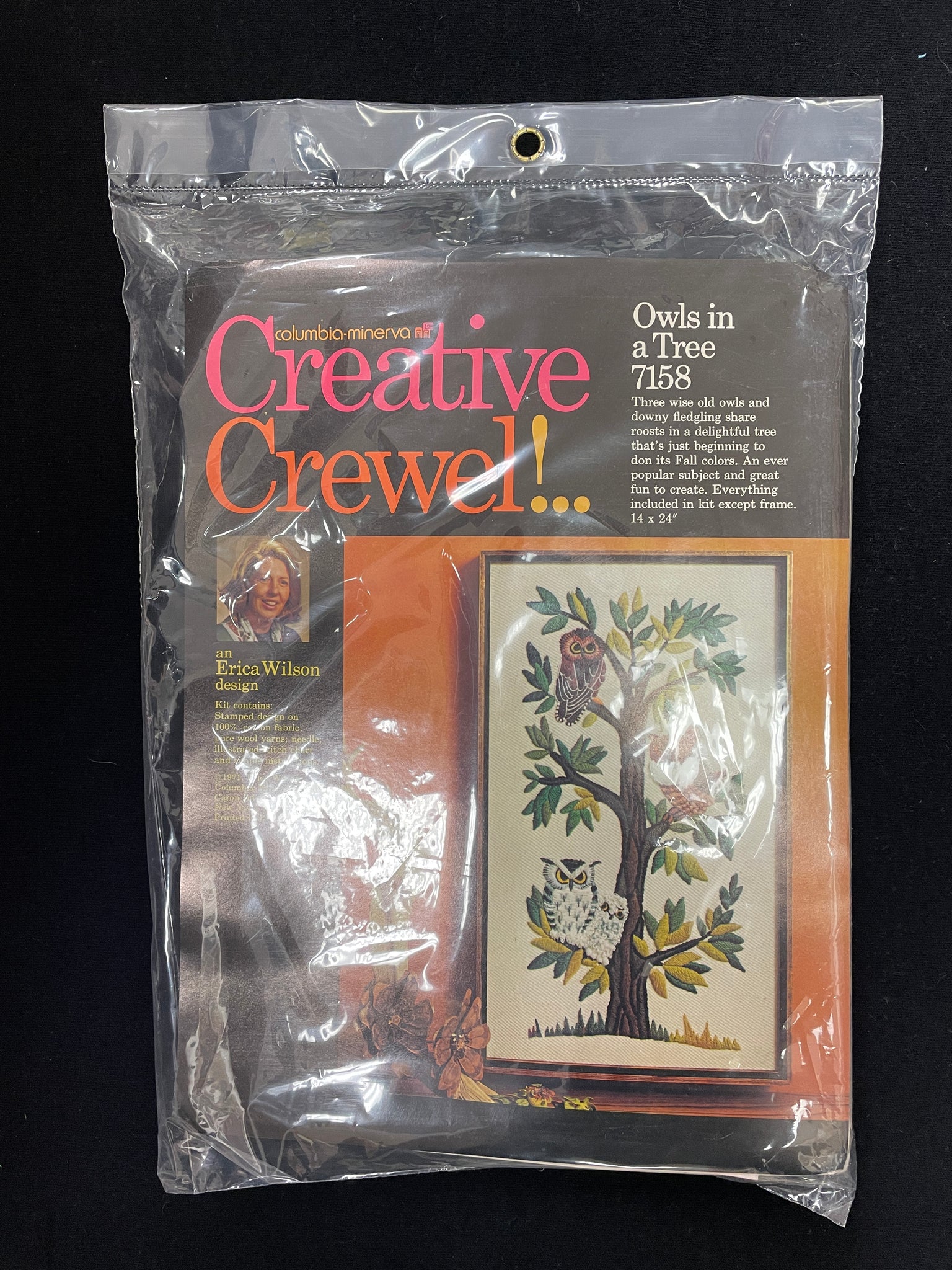 1971 Embroidery Crewel Kit Vintage - Owls in a Tree